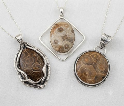 Fossil Coral Pendants, Fossilised coral with a honeycomb pattern; wrapped, framed and round settings